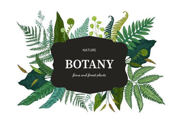 Botanical background. Hand drawn wallpaper with forest foliage. Green fern sprouts and bourgeon. Frame with lettering and decorative wild plant leaves. Vector floral design template - Vector, Image
