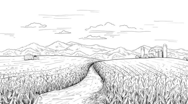 Kézzel rajzolt mező táj. Kukoricafarmos vázlat vidéki házzal és silókkal. A mezőgazdasági terület panorámájának ceruza rajza. Teherautó kukoricaterméssel. Vektor nyári és őszi metszet jelenet - Vektor, kép
