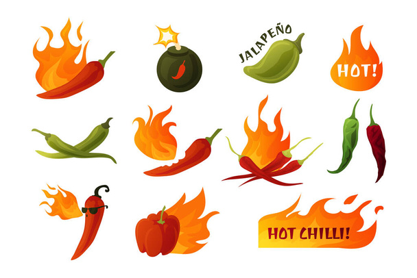Hot pepper. Cartoon green and red chilli spice with fire flames. Sauce and dish ingredients. Seasoning food emblems with lettering. Burning vegetables. Vector condiment stickers set - Vector, Image