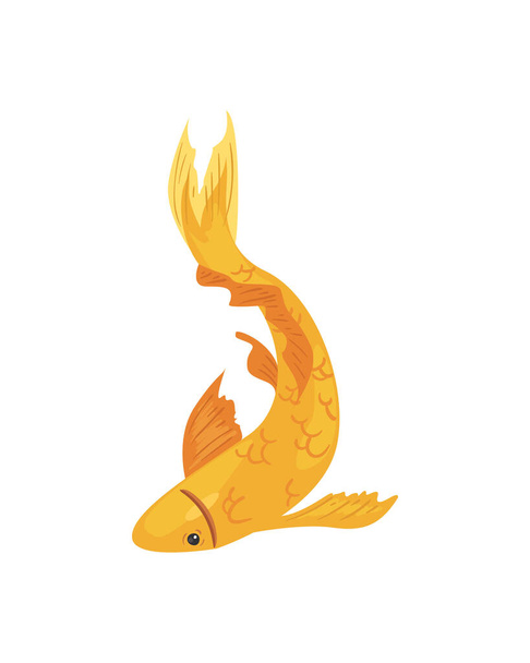 koi fish of golden color - Vector, Imagen