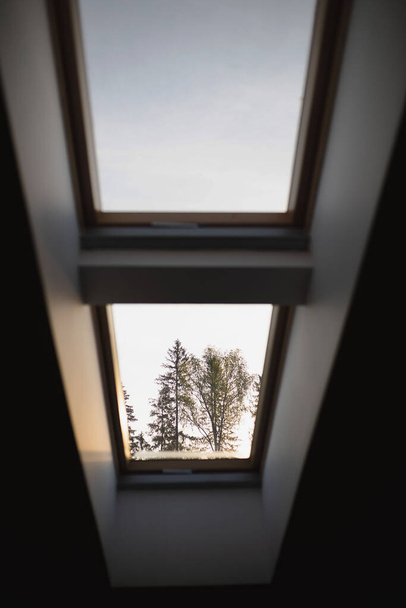 view of the tree through the small window of the house - Фото, изображение