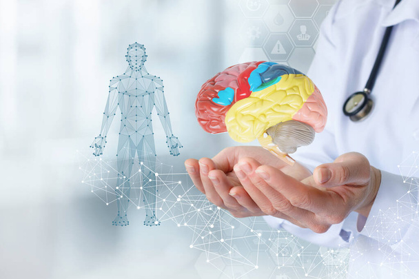 Le médecin montre le cerveau sur le fond de l'hologramme du patient. - Photo, image