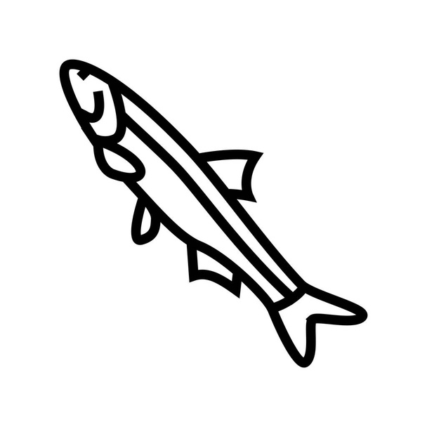 línea de anchoa peruana icono vector ilustración - Vector, Imagen