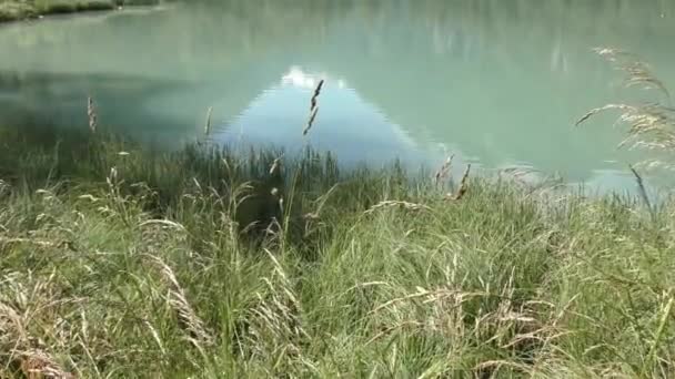 Vuorten heijastus Klammsee-järven rauhallisella vesimaisemalla Kaprunissa, Itävallassa. nouseva lennokki laukaus - Materiaali, video