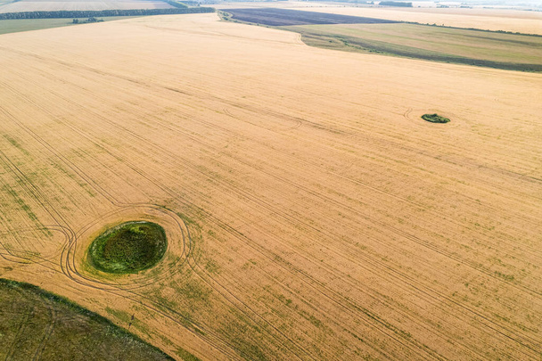 Fly over the field after harvest. An even circle of untouched vegetation in the middle of a cultivated field. Geometry and shapes in nature - Фото, зображення