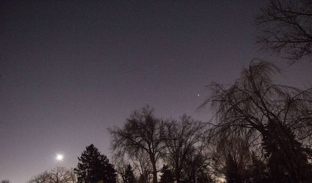 Lune lumineuse en début de soirée avec des arbres - Photo, image