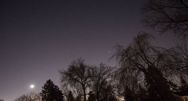Яркая луна в ранний вечер с деревьями - Фото, изображение