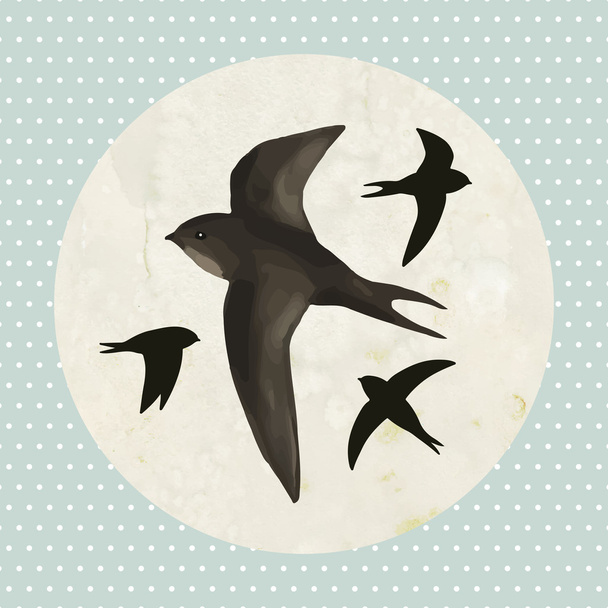 Flying swifts - Vector, Image
