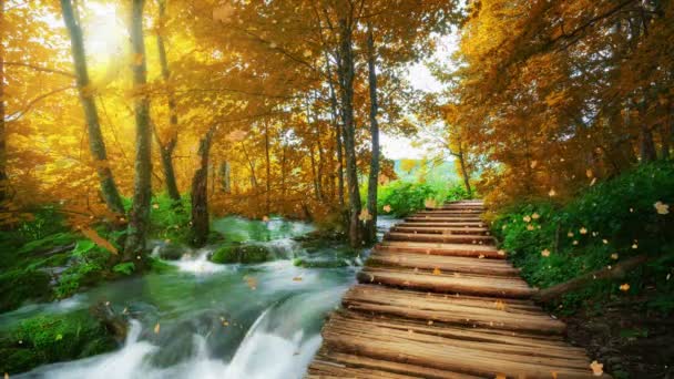 クロアチアのプリトヴィツェ湖の秋の木道のシームレスなループシネマグラフビデオ - 映像、動画