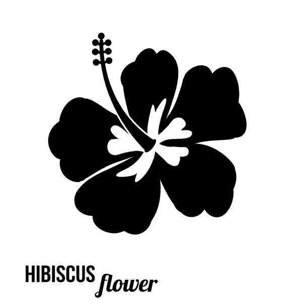 hibiscus çiçeği  - Vektör, Görsel