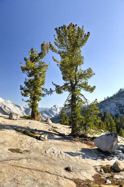 Olmsted Point, Parco Nazionale dello Yosemite
 - Foto, immagini