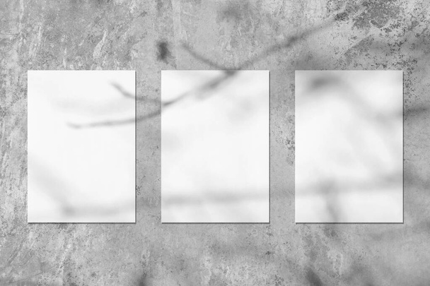 Tre modelli di poster rettangolo verticale bianco vuoto con morbida ombra di foglie d'albero - Foto, immagini