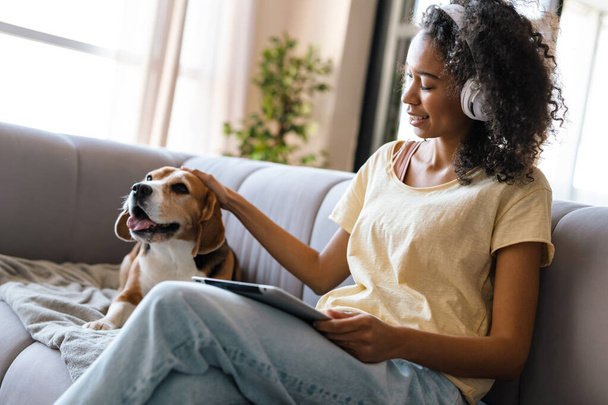 Young african woman in casual wear with beagle puppy at home, sitting on a sofa, using tablet in headphones - Valokuva, kuva