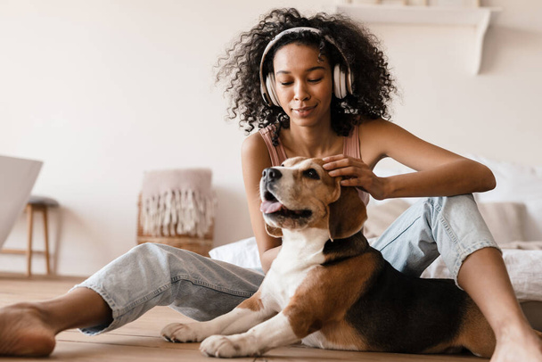 Young african woman in casual wear with beagle puppy at home, sitting on a floor, playing with dog - Foto, afbeelding