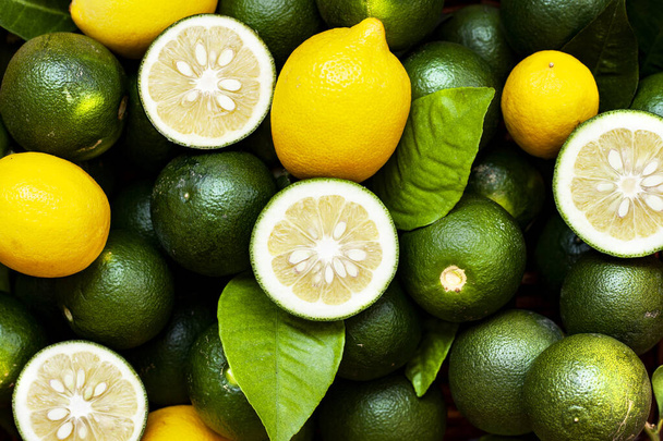 Čerstvý citron s listy. Citronový strom.  - Fotografie, Obrázek