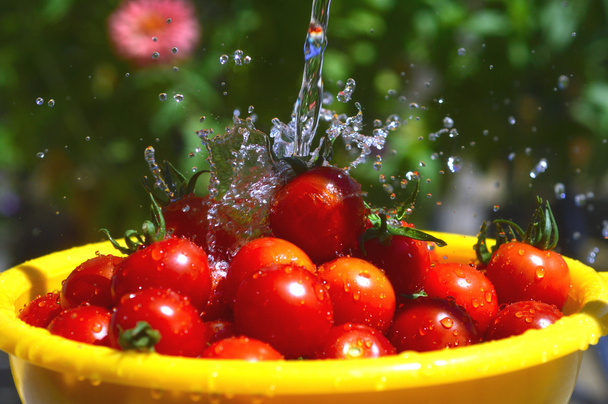 cherry tomaten - Foto, afbeelding