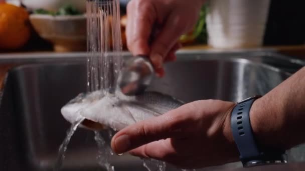 Limpeza de peixe no jato de água antes de cozinhar. Peixe-dourado. Imagens de câmara lenta. Vídeo de comida. - Filmagem, Vídeo
