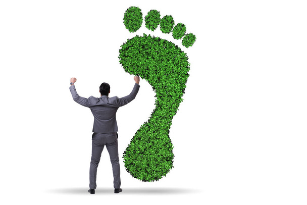 Ökológia koncepció zöld lábnyommal és üzletemberrel - Fotó, kép
