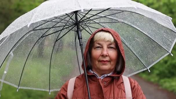 Donna con ombrello trasparente sotto la pioggia in un parco verde cittadino. Brutto tempo freddo - Filmati, video