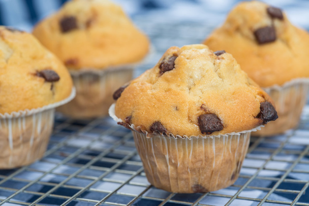 hausgemachte leckere Schokoladenchips-Muffins auf Kühlregal - Foto, Bild