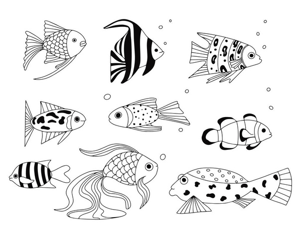 Set of exotic coral reef fish. Underwater swimming animals. Tropical fish for the aquarium. vector cartoon hand drawn elements for design. - Vector, afbeelding