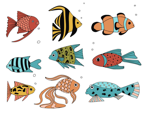 Set exotischer Korallenrifffische. Unterwasser schwimmende Tiere. Tropische Fische für das Aquarium. Vektorelemente für das Design. - Vektor, Bild