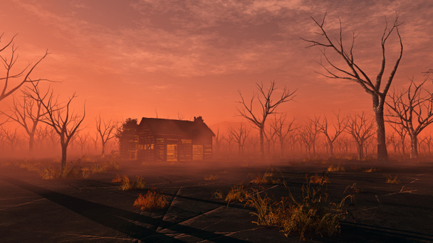 zdalnego samotny drewniana Chata w mglisty krajobraz z martwych drzew. s - Zdjęcie, obraz