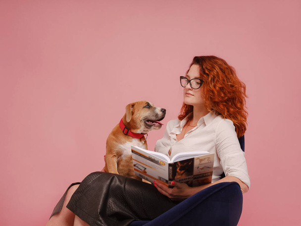 vrouw met pup Amerikaanse Staffordshire Terrier poseren in studio - Foto, afbeelding