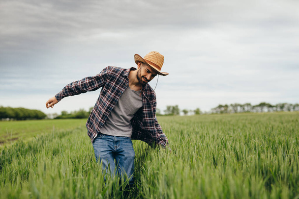 farmer walking through wheat field - Zdjęcie, obraz