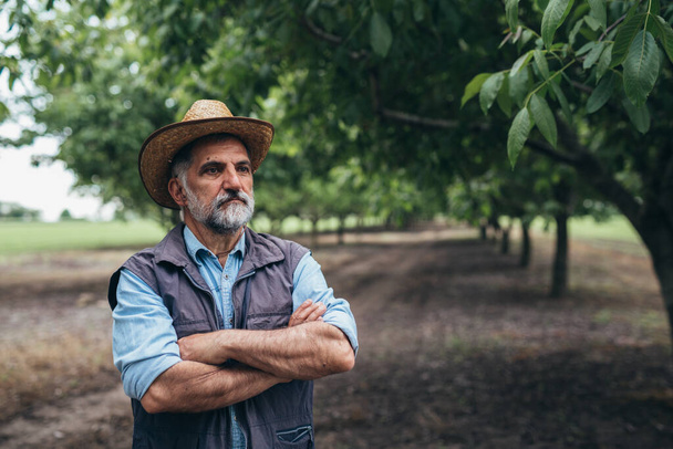 farmer posing outdoor. senior bearded man with cowboy hat posing - Фото, зображення