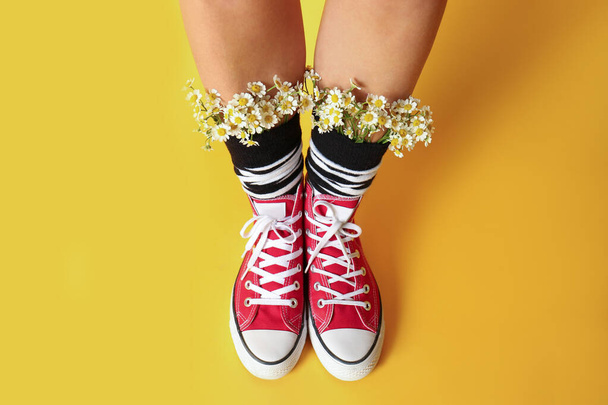 Above view of woman with beautiful tender chamomile flowers in socks on yellow background - Photo, Image