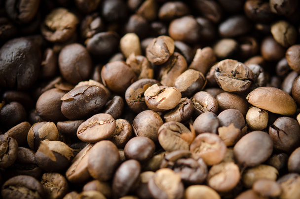 coffee bean - Фото, изображение
