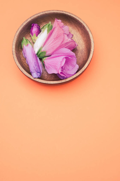 A top view of velvet roses in brown ceramic bowl isolated on an orange background with free space - Foto, Imagem