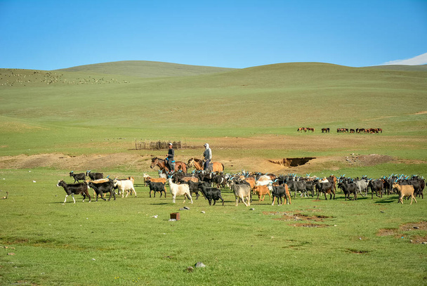 This is how true Mongolian life looks like. Summer is the most amazing season for nomads, even travelers too. 23rd June, 2020 - Fotoğraf, Görsel