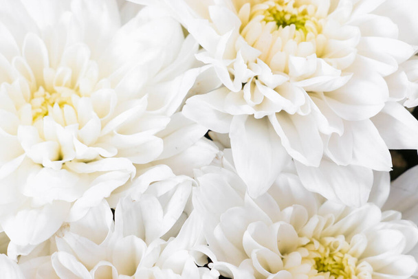 Τα λευκά λουλούδια κλείνουν. Μαλακό παστέλ φόντο του γάμου. Όμορφο φόντο λουλουδιών. - Φωτογραφία, εικόνα