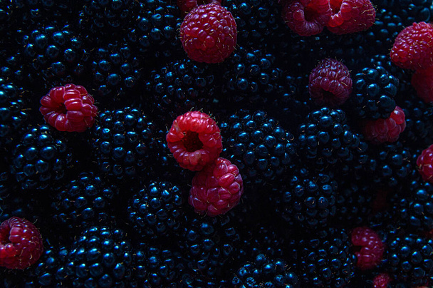 Μαύρα μούρα διάσπαρτα με κόκκινα σμέουρα και φράουλες είναι ένα καλό κιτ βιταμινών για μια υγιεινή διατροφή κατά την εποχή της συγκομιδής, φωτογραφήθηκε από ψηλά στο φως της ημέρας. - Φωτογραφία, εικόνα