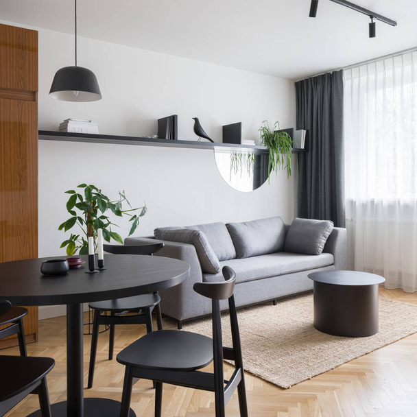 Simple living room with cozy, gray sofa, black coffee table on carpet, stylish decorations on shelf and modern, black dining table with black chairs - Valokuva, kuva