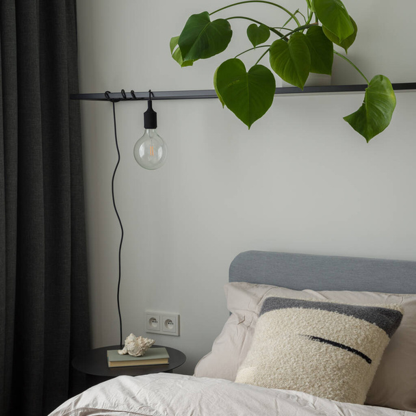 Close-up on modern bedroom lamp made from lightbulb on shelf with plant - Fotó, kép