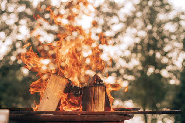 Charred wood and flames set against bokeh of tree branches and sunlight. Fire in countryside - Photo, Image