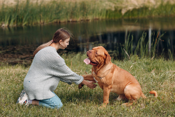 Dogue de Bordeaux vagy French Mastiff ad mancs fiatal nő a szabadtéri parkban - Fotó, kép