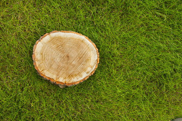 tree stump on the grass, top view - 写真・画像