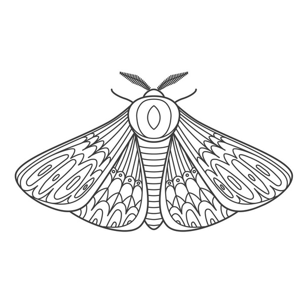 Dekorativ fantastische Motte. Flügel mit Ornamenten zum Ausmalen bedeckt. Vektor-Illustration isoliert auf weißem Hintergrund. - Vektor, Bild