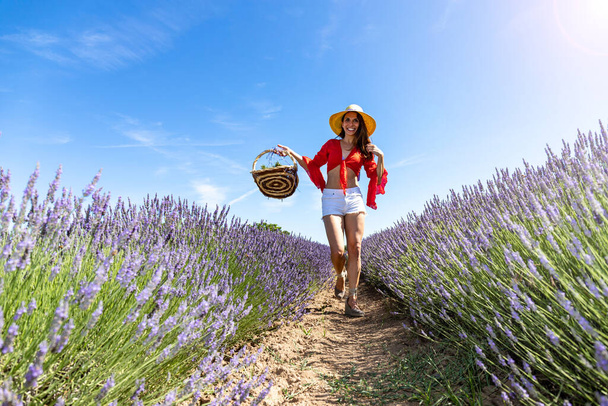 籠を手にラベンダー畑を歩いている幸せな若い女性。彼女は赤いブラウス、白いショートパンツとわらの帽子を着ています。自然への愛の概念. - 写真・画像