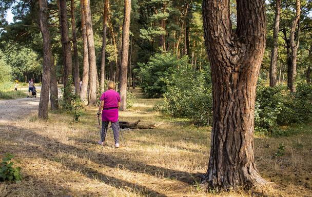 Літня жінка ходить парком по скандинавських палицях. - Фото, зображення