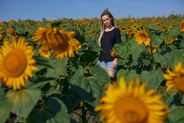 a cute girl with long blonde hair stands in a sunflower field - Photo, Image