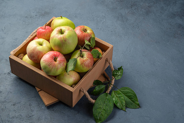 Manzanas maduras, orgánicas, de granja sobre un fondo gris oscuro. - Foto, imagen