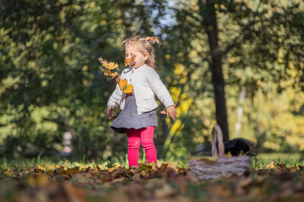 Маленькая очаровательная девочка, играющая в опаляющих листьях осеннего парка в солнечный день. портрет милого ребенка - Фото, изображение