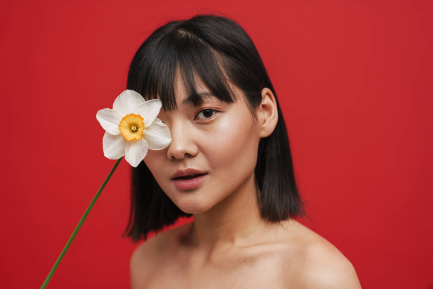 Asian shirtless woman looking at camera while posing with narcissus isolated over red background - Foto, Bild