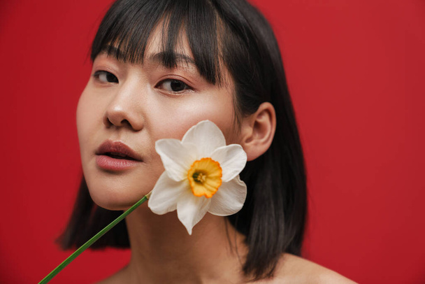 Asian shirtless woman looking at camera while posing with narcissus isolated over red background - Photo, image