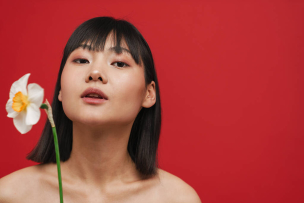 Asian shirtless woman looking at camera while posing with narcissus isolated over red background - Valokuva, kuva